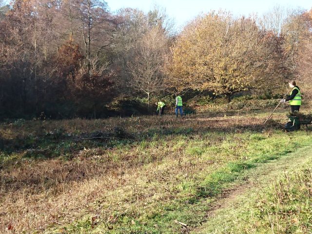 Conservation team working